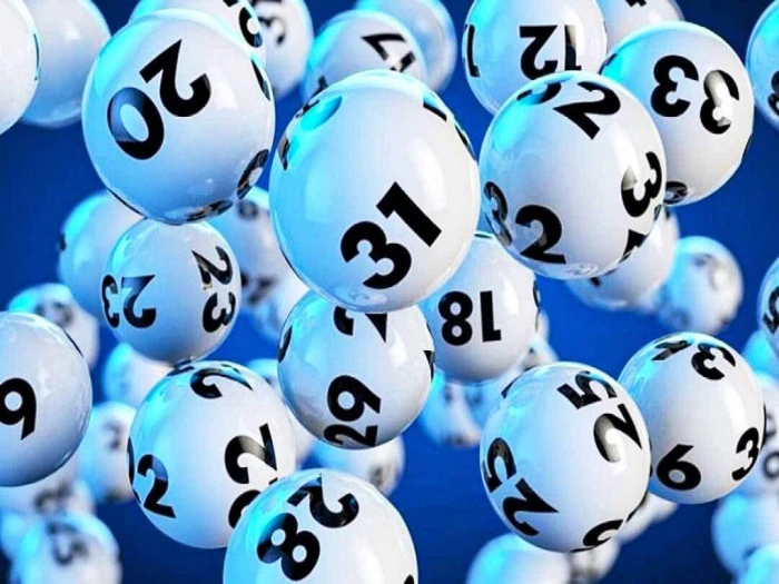 Khám Phá Thế Giới Gà Chọi C1 Và Những Điều Cần Biết